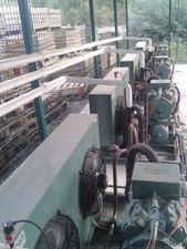 Бункер зберігання яблук 1800м3 &mdash; IT холод